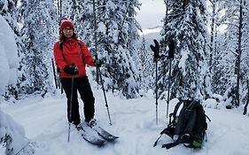 Guesthouse Koli Freetime